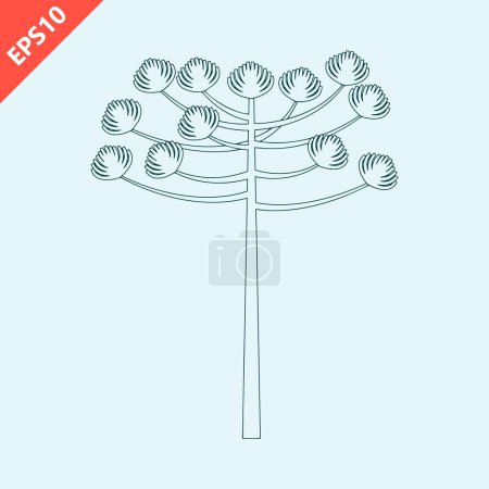 Ilustración de Hand drawn araucaria tree design vector flat modern isolated illustration - Imagen libre de derechos