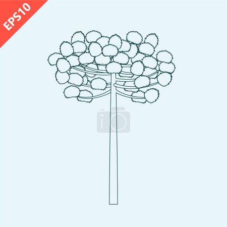 Ilustración de Hand drawn araucaria tree design vector flat modern isolated illustration - Imagen libre de derechos