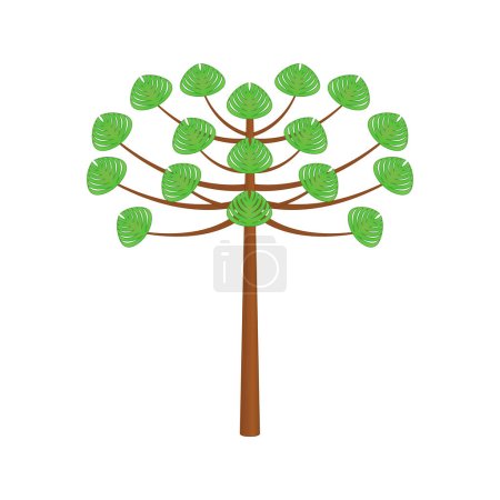 Téléchargez les illustrations : Araucaria tree design vector flat modern isolated on white background - en licence libre de droit