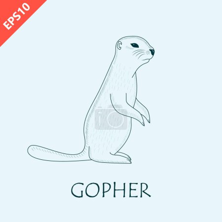 Illustration for Hand drawn gopher animal design vector flat modern isolated illustration - Royalty Free Image