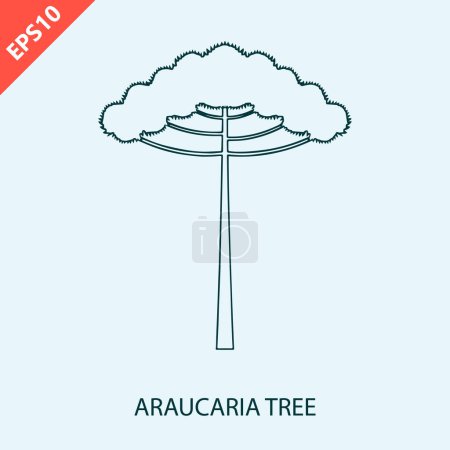 Illustration for Hand drawn araucaria tree isolated on background. araucaria design vector flat modern illustration - Royalty Free Image