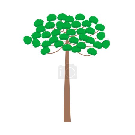 Ilustración de Araucaria tree design vector flat modern isolated on white background - Imagen libre de derechos
