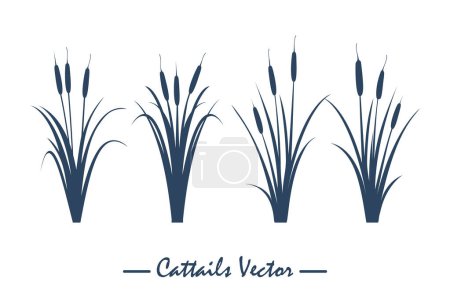 Illustration for Cattail icon logo design vector modern isolated illustration - Royalty Free Image