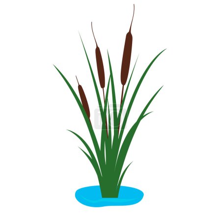 Illustration for Cattail icon logo design vector isolated modern illustration - Royalty Free Image