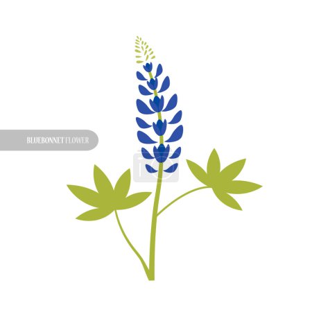 Ilustración de Bluebonnet flor diseño moderno vector ilustración - Imagen libre de derechos