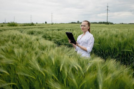 Una joven agricultora que usa albornoz blanco está comprobando el progreso de la cosecha en una tableta en el campo de trigo verde. Está creciendo un nuevo cultivo de trigo. Concepto agrícola y agrícola