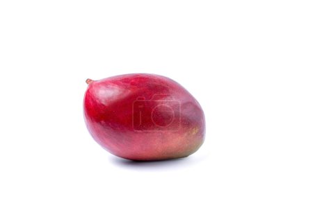 Téléchargez les photos : Fresh organic mango isolated on white background. Clipping path mango. - en image libre de droit