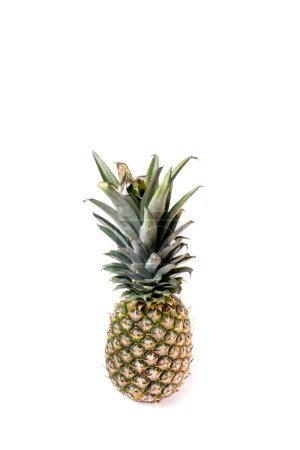Téléchargez les photos : Single pineapple isolated on white background. Pineapple fruit whole. Pineapple Clipping Path - en image libre de droit
