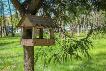 Téléchargez les photos : Nourrisseur d'oiseaux niché parmi les pins sereins du parc. Mangeoire pour oiseaux rustiques décorée par le pin serein du parc. Birdhouse Delight au milieu de la beauté du parc - en image libre de droit