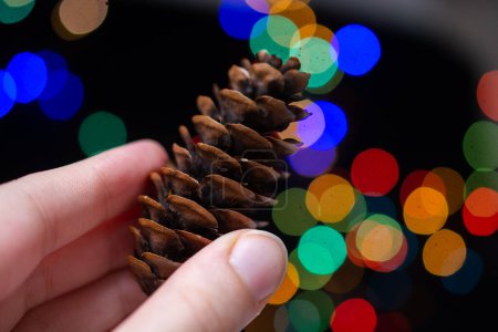 Photo for Hand holding brown pine cone in hand on a colorful blurred background - Royalty Free Image