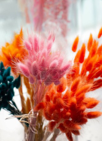 Foto de Flor colorida seca para fines de doceración - Imagen libre de derechos