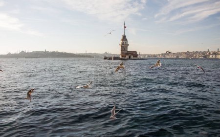 Téléchargez les photos : Mouette volant près de Maiden's Tower à Istanbul, Turquie - en image libre de droit