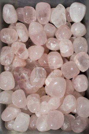 Téléchargez les photos : Pierre gemme de quartz rose tumbled comme spécimen de roche minérale - en image libre de droit