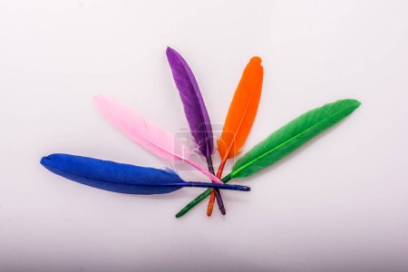 Téléchargez les photos : Photo prise en studio de plumes d'oiseaux colorées comme fond de texture - en image libre de droit