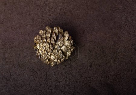 Photo for Pine cone on a dark wooden background - Royalty Free Image