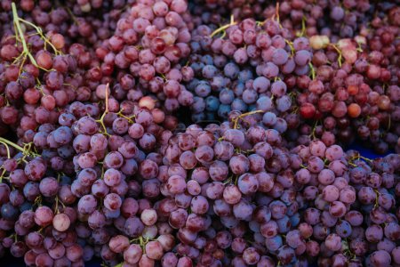 Photo for Fresh ripe red grapes in the market. Red grapes background. - Royalty Free Image
