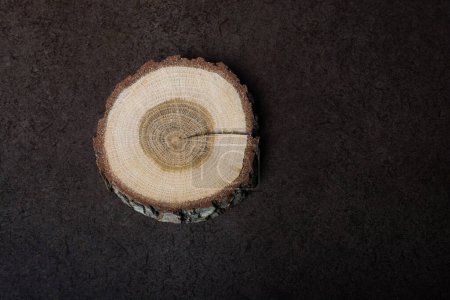 Foto de Pequeño trozo de tronco de madera cortado utilizado para textura de madera de fondo - Imagen libre de derechos