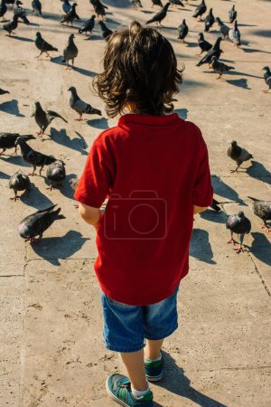 Photo for Little kid amid Lovely pigeon birds feed in an urban environment - Royalty Free Image