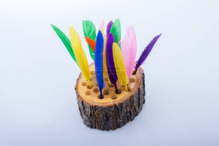 Téléchargez les photos : Collection de plumes de couleur vive sur une bûche en bois - en image libre de droit