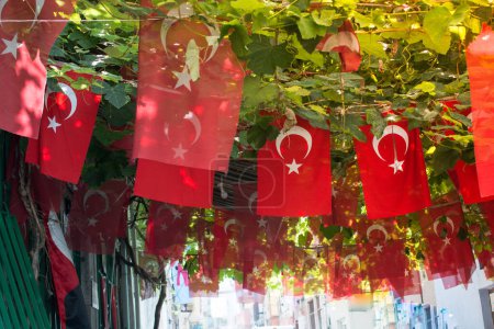 Téléchargez les photos : Drapeau national turc en plein air sur une corde - en image libre de droit