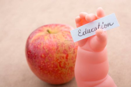 Téléchargez les photos : Thème de retour à l'école avec une pomme rouge - en image libre de droit