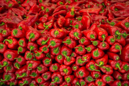 Foto de Un montón de pimientos rojos que se encuentran como fondo alimentario - Imagen libre de derechos