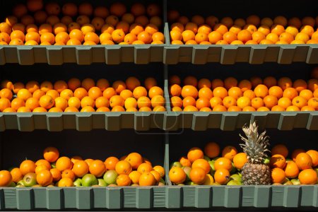Téléchargez les photos : Charge des fruits frais d'orange en vue - en image libre de droit