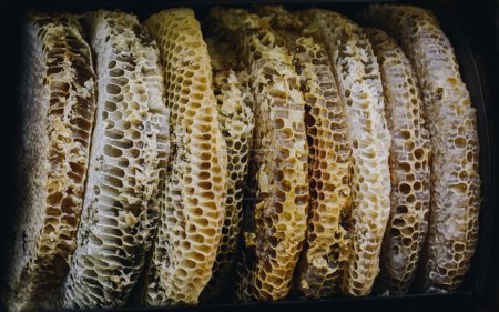 Photo for Honeycomb from round beehive with sweet honey - Royalty Free Image