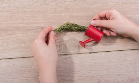 Téléchargez les photos : Petit arrosoir rouge avec feuilles à la main - en image libre de droit