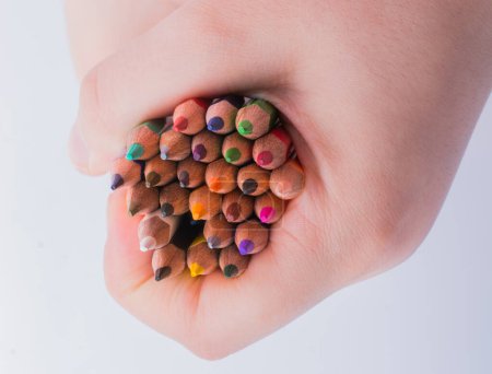 Photo for Hand holding color Pencils placed on a white background - Royalty Free Image