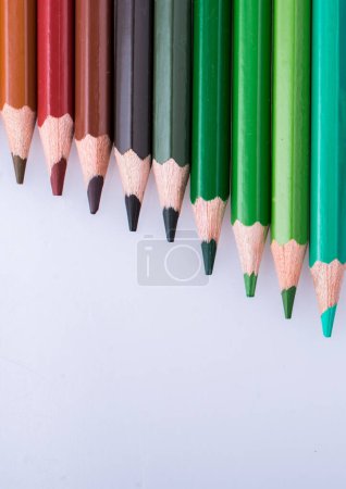 Foto de Lápices de colores de varios colores colocados sobre fondo blanco - Imagen libre de derechos