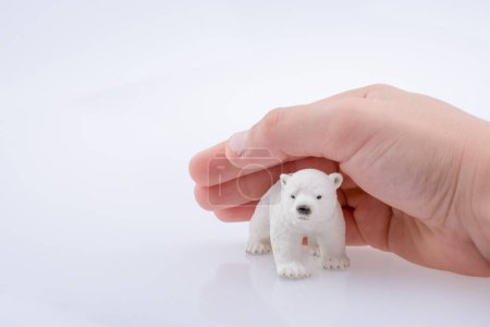 Téléchargez les photos : Main tenant un modèle d'ours polaire - en image libre de droit