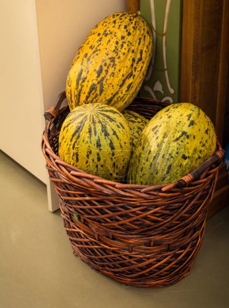 Foto de Melones moteados verdes en una cesta de paja en la vista - Imagen libre de derechos