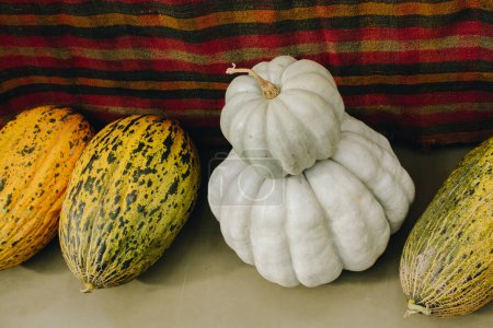 Foto de Dos calabazas blancas una encima de la otra cerca de melones en exhibición - Imagen libre de derechos