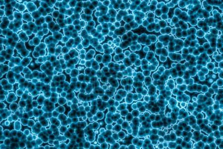 Téléchargez les photos : Forme de la cellule bactérienne : coques, bacilles, fond de la bactérie spirilla - en image libre de droit