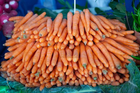 Foto de Textura fondo de zanahorias naranjas grandes frescas, - Imagen libre de derechos