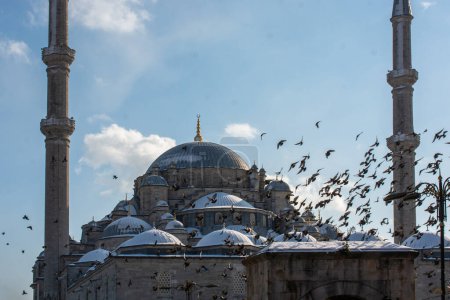 Téléchargez les photos : Pigeon volant autour des minarets de la mosquée - en image libre de droit