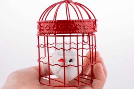 Téléchargez les photos : Oiseau dans une cage à oiseaux - en image libre de droit