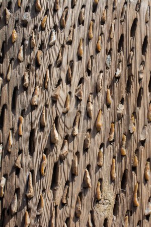 Foto de Fondo de madera con un cierto patrón de textura - Imagen libre de derechos