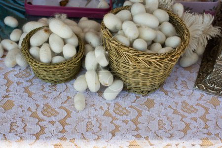 Téléchargez les photos : Beaucoup de cocons de vers à soie blancs dans la vue - en image libre de droit
