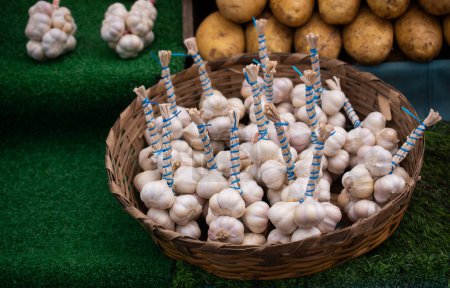 Photo for Fresh garlic cloves and garlic bulb for healthy eating. - Royalty Free Image