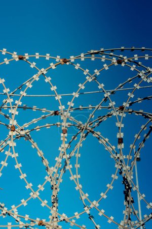 Photo for Barbed wire fence  used for protection purposes - Royalty Free Image