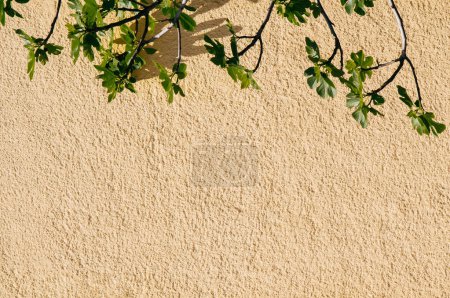 Photo for Wall with a part of a tree as a background - Royalty Free Image