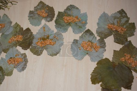Téléchargez les photos : Faire des feuilles de raisin farcies dans le style turc comme délicieux plat - en image libre de droit