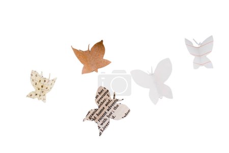 Foto de Corte de papel Icono de mariposa aislado sobre fondo blanco. Estilo de arte de papel. - Imagen libre de derechos