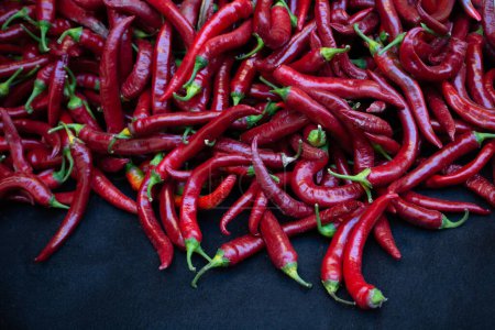 Photo for A Lot of Red Chilli Peppers found as food background - Royalty Free Image