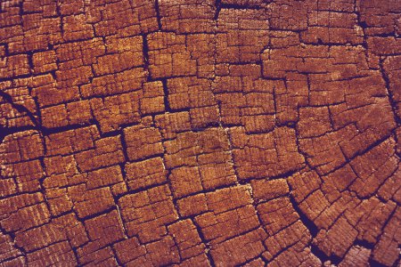 Téléchargez les photos : Vieux fond de texture de souche d'arbre fissuré altéré avec la section transversale - en image libre de droit
