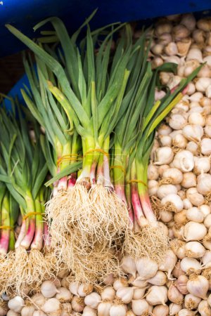 Photo for Bunch of garlic bulbs at the market place - Royalty Free Image