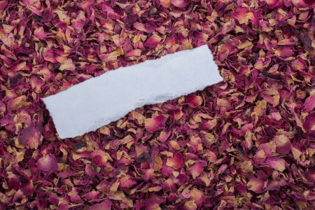 Téléchargez les photos : Papier déchiré sur une boîte remplie de pétales de rose secs - en image libre de droit