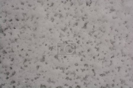 Photo for Winter cold snow background. - Royalty Free Image